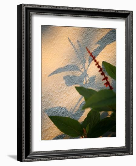 Golden Shadows-Nicole Katano-Framed Photo