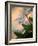 Golden Shadows-Nicole Katano-Framed Photo