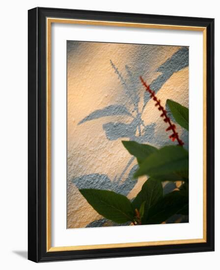 Golden Shadows-Nicole Katano-Framed Photo