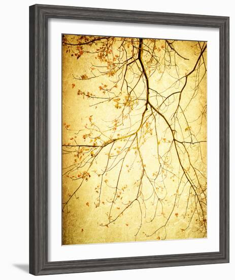 Golden Shimmer-Irene Suchocki-Framed Giclee Print