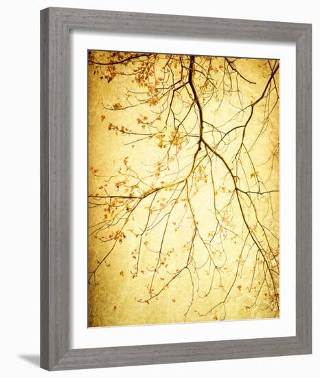 Golden Shimmer-Irene Suchocki-Framed Giclee Print