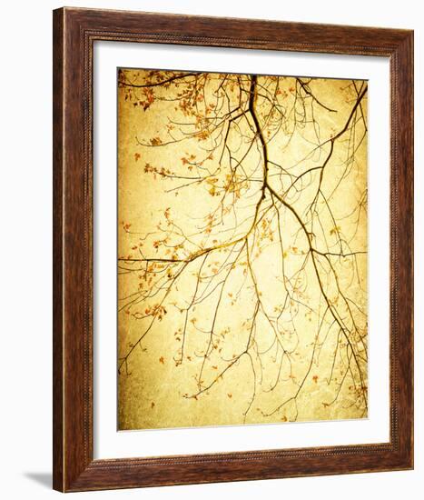 Golden Shimmer-Irene Suchocki-Framed Giclee Print