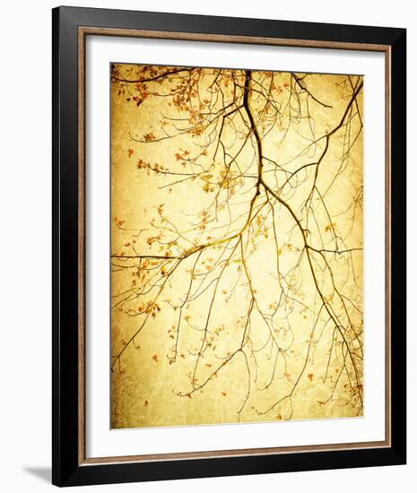 Golden Shimmer-Irene Suchocki-Framed Giclee Print