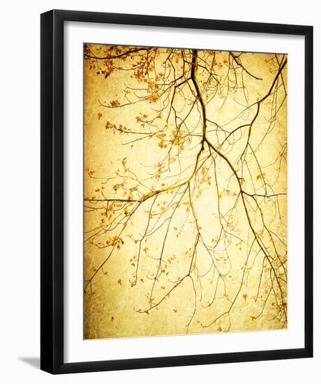 Golden Shimmer-Irene Suchocki-Framed Giclee Print