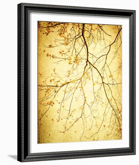 Golden Shimmer-Irene Suchocki-Framed Giclee Print