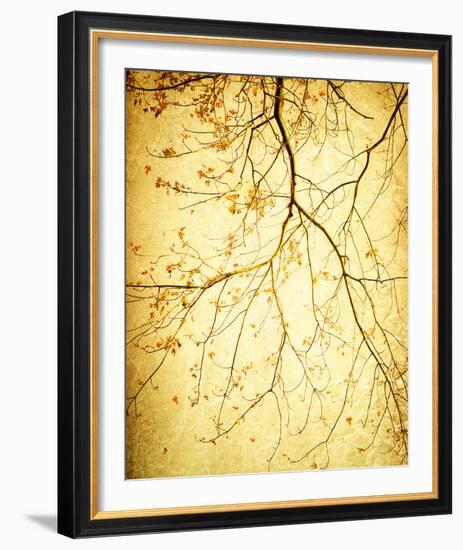 Golden Shimmer-Irene Suchocki-Framed Giclee Print