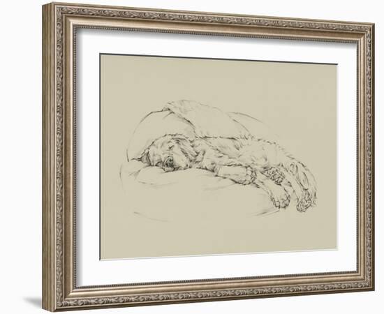 Golden Sketch I-Ethan Harper-Framed Art Print