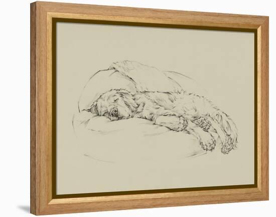 Golden Sketch I-Ethan Harper-Framed Stretched Canvas