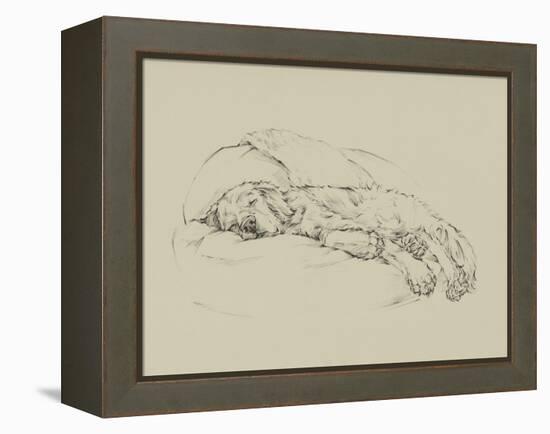 Golden Sketch I-Ethan Harper-Framed Stretched Canvas