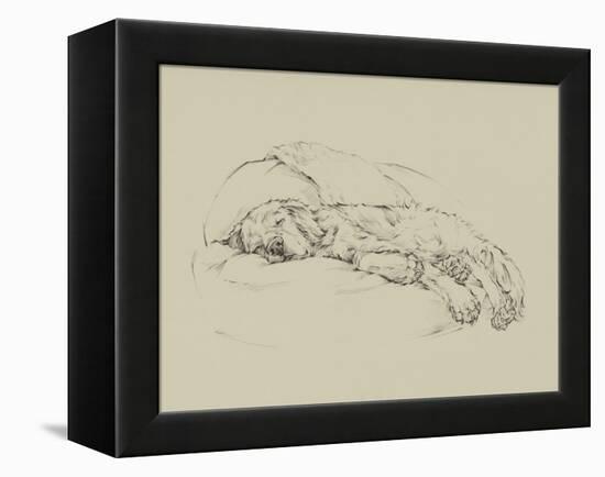 Golden Sketch I-Ethan Harper-Framed Stretched Canvas