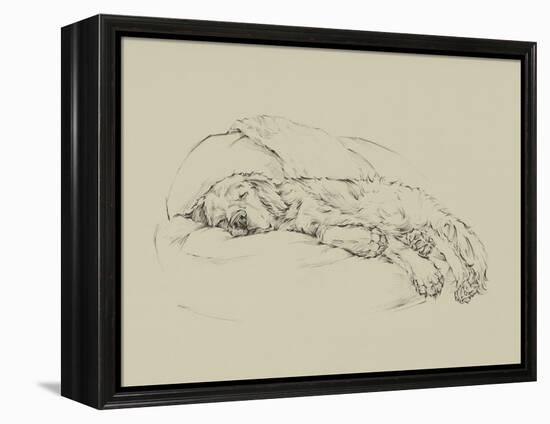 Golden Sketch I-Ethan Harper-Framed Stretched Canvas