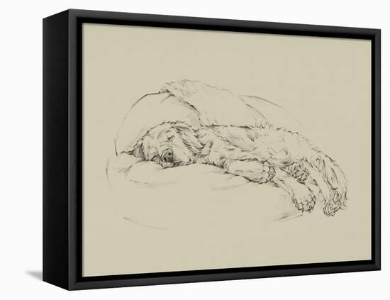 Golden Sketch I-Ethan Harper-Framed Stretched Canvas