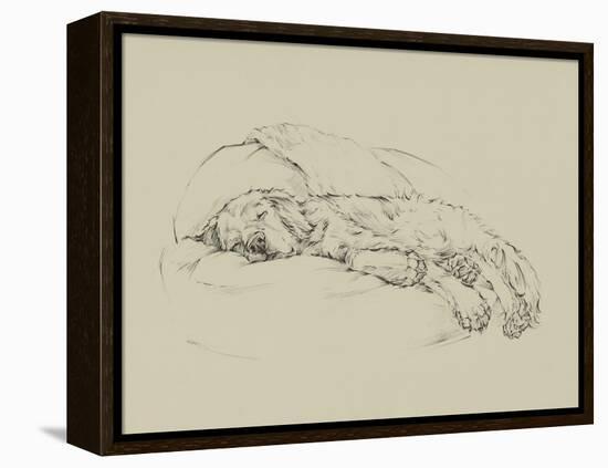 Golden Sketch I-Ethan Harper-Framed Stretched Canvas