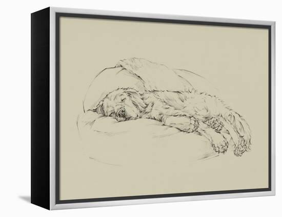 Golden Sketch I-Ethan Harper-Framed Stretched Canvas