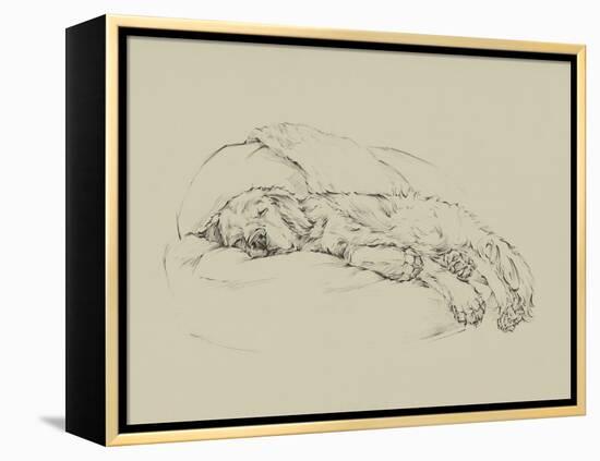 Golden Sketch I-Ethan Harper-Framed Stretched Canvas