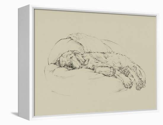 Golden Sketch I-Ethan Harper-Framed Stretched Canvas