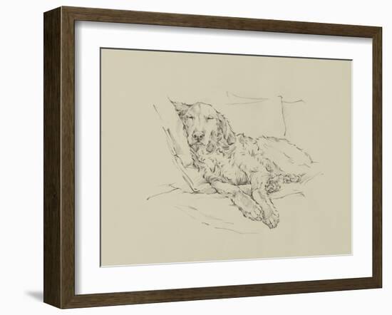 Golden Sketch II-Ethan Harper-Framed Art Print