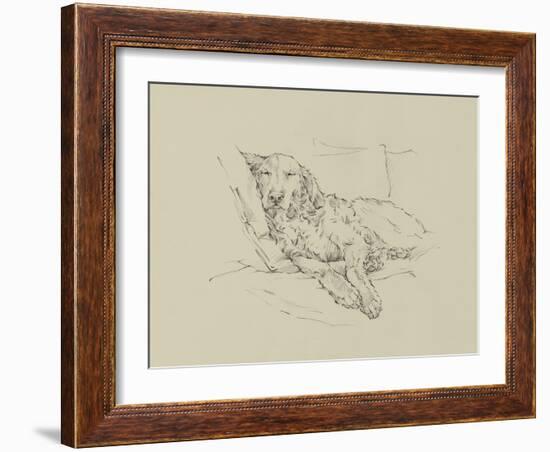 Golden Sketch II-Ethan Harper-Framed Art Print