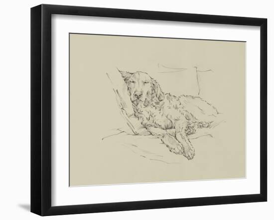 Golden Sketch II-Ethan Harper-Framed Art Print