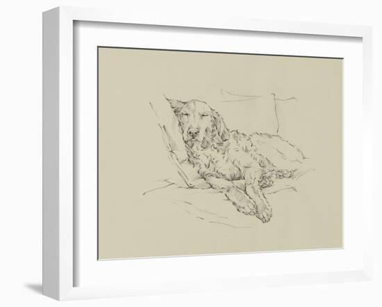 Golden Sketch II-Ethan Harper-Framed Art Print