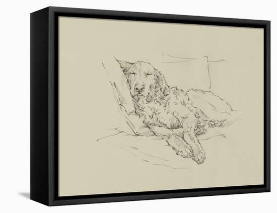 Golden Sketch II-Ethan Harper-Framed Stretched Canvas