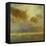 Golden Sky I-Sheila Finch-Framed Stretched Canvas