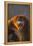 Golden Snub-Nosed Monkey Snarling-DLILLC-Framed Premier Image Canvas