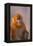 Golden Snub-Nosed Monkey-DLILLC-Framed Premier Image Canvas