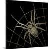 Golden Spider-Color Bakery-Mounted Giclee Print