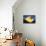 Golden Spike-Philippe Hugonnard-Mounted Giclee Print displayed on a wall