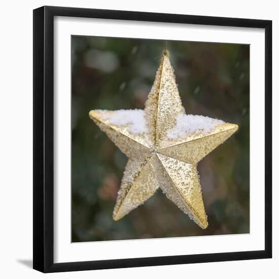 Golden Star with Snow-Cora Niele-Framed Giclee Print