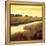 Golden Stream-Tim Howe-Framed Premier Image Canvas