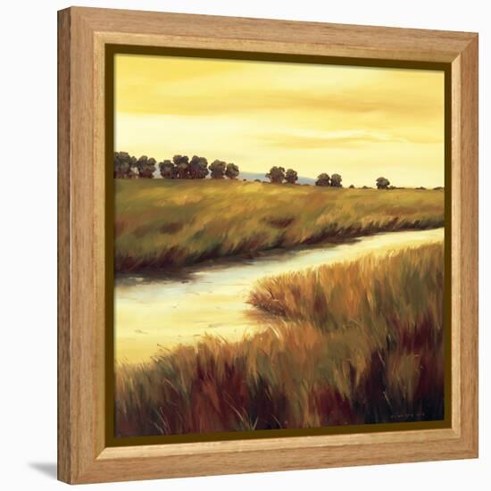 Golden Stream-Tim Howe-Framed Premier Image Canvas