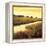 Golden Stream-Tim Howe-Framed Premier Image Canvas