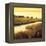 Golden Stream-Tim Howe-Framed Premier Image Canvas