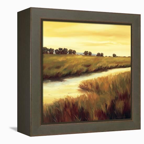 Golden Stream-Tim Howe-Framed Premier Image Canvas