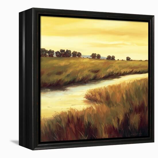 Golden Stream-Tim Howe-Framed Premier Image Canvas