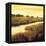 Golden Stream-Tim Howe-Framed Premier Image Canvas