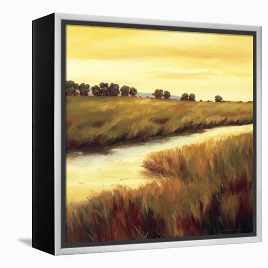 Golden Stream-Tim Howe-Framed Premier Image Canvas
