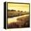 Golden Stream-Tim Howe-Framed Premier Image Canvas