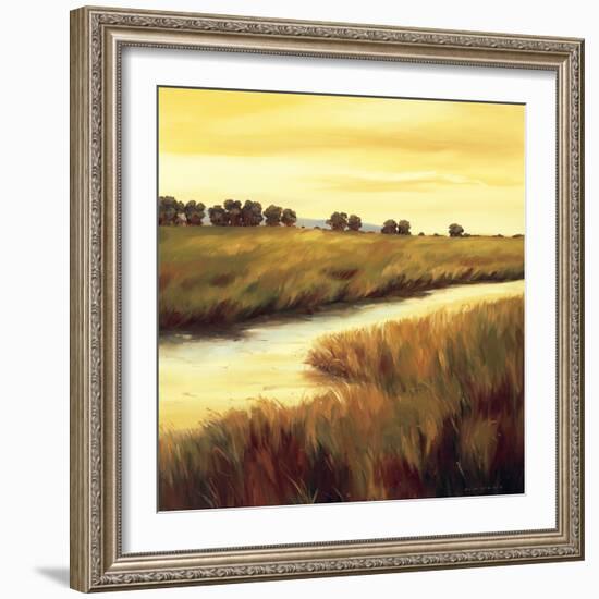 Golden Stream-Tim Howe-Framed Giclee Print