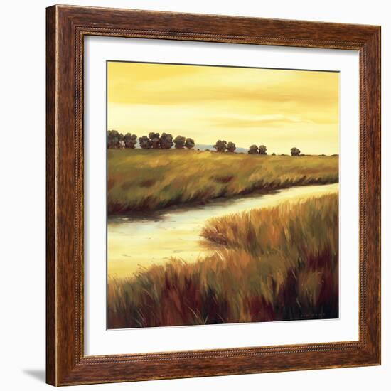 Golden Stream-Tim Howe-Framed Giclee Print