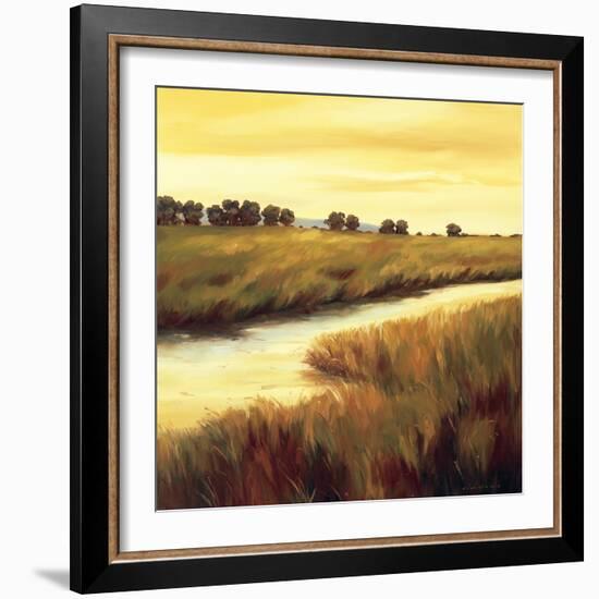 Golden Stream-Tim Howe-Framed Giclee Print