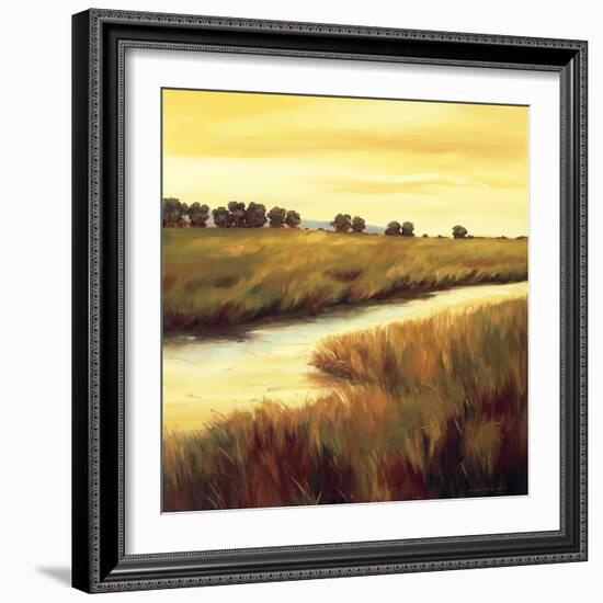 Golden Stream-Tim Howe-Framed Giclee Print