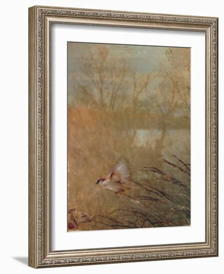 Golden Summer Wings-Matina Theodosiou-Framed Art Print