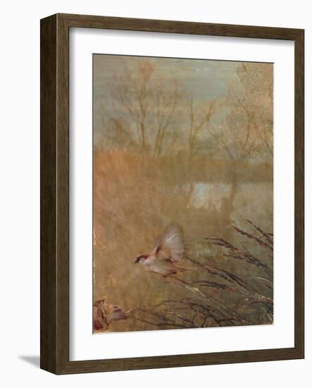 Golden Summer Wings-Matina Theodosiou-Framed Art Print