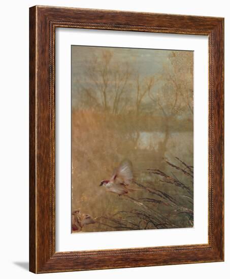 Golden Summer Wings-Matina Theodosiou-Framed Art Print