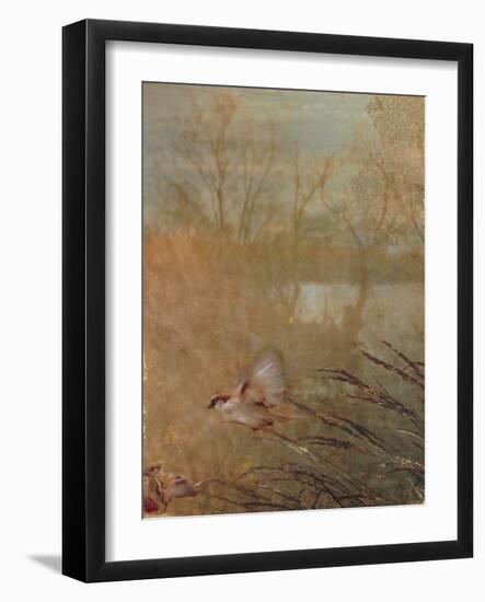 Golden Summer Wings-Matina Theodosiou-Framed Art Print