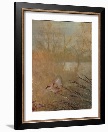 Golden Summer Wings-Matina Theodosiou-Framed Art Print