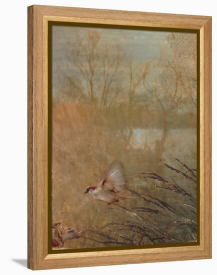 Golden Summer Wings-Matina Theodosiou-Framed Stretched Canvas